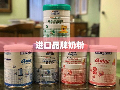 【进口品牌奶粉,进口品牌奶粉哪个好】