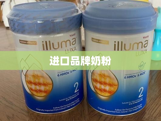 【进口品牌奶粉,进口品牌奶粉哪个好】