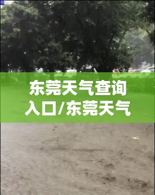 东莞天气查询入口/东莞天气官方