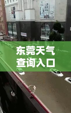 东莞天气查询入口/东莞天气官方