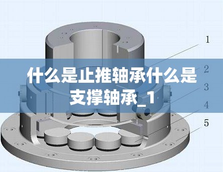 什么是止推轴承什么是支撑轴承_1