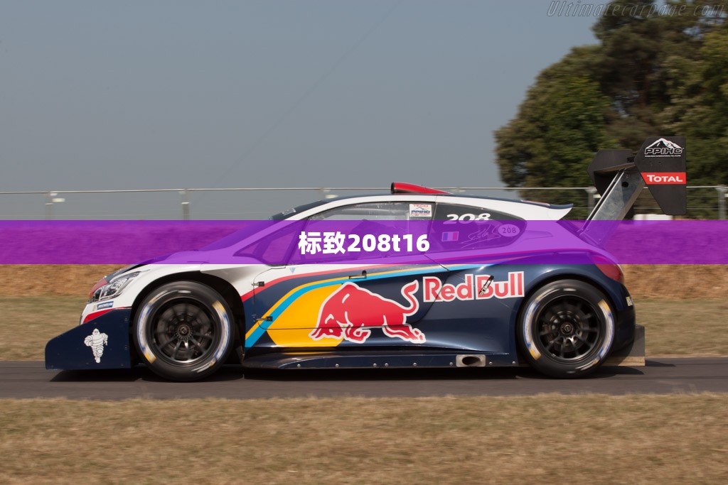 标致208t16/标致208t16派克峰成绩