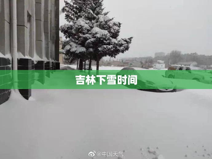 万能开挂辅助“福建十三水万能辅助器”详细辅助教程分享