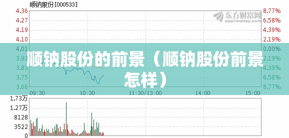顺钠股份的前景（顺钠股份前景怎样）