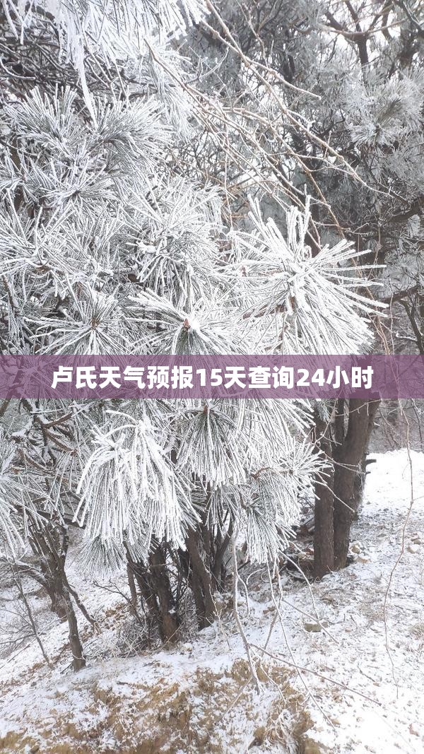 【卢氏天气预报15天查询24小时/卢氏天气预报30天查询】