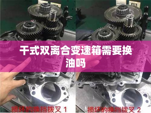 干式双离合变速箱需要换油吗/大众干式双离合变速箱需要换油吗