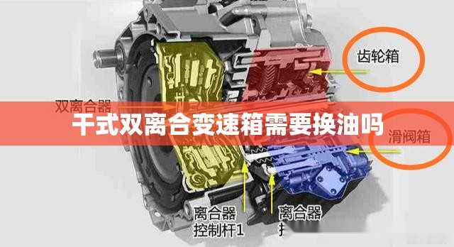 干式双离合变速箱需要换油吗/大众干式双离合变速箱需要换油吗