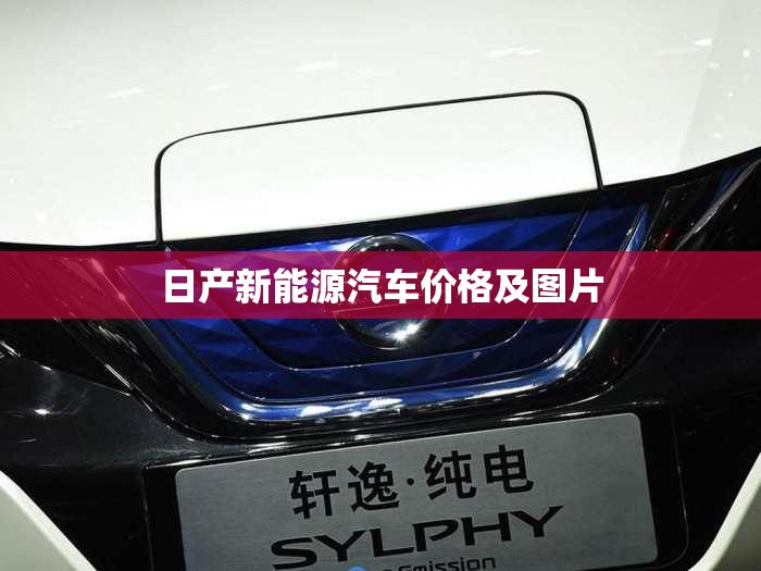 【日产新能源汽车费用及图片,日产新能源电动汽车】
