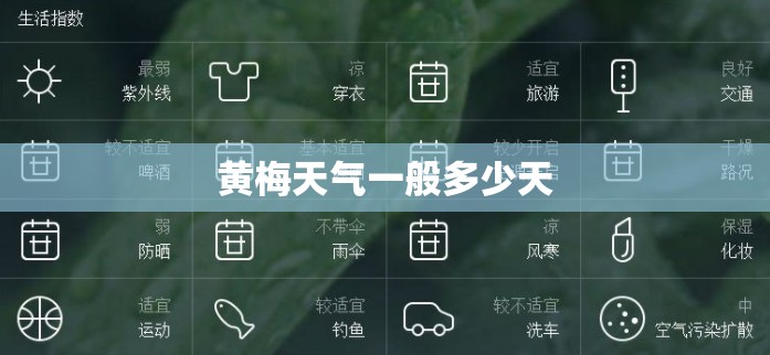 黄梅天气一般多少天/黄梅天气一般几天 黄梅天气一般多少天/黄梅天气一般几天