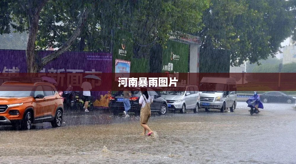河南暴雨图片,河南暴雨 图片