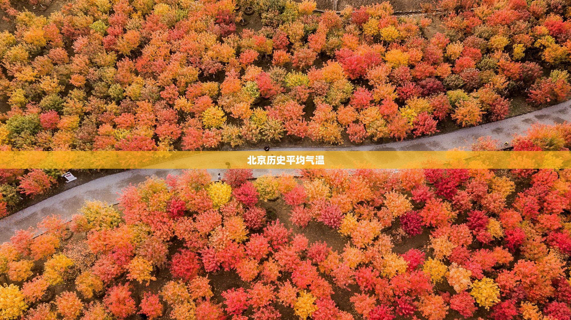 长袖连衣裙新款,长袖连衣裙如何搭配