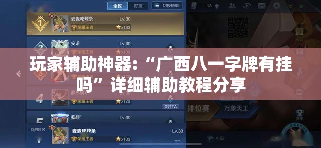 玩家辅助神器:“广西八一字牌有挂吗”详细辅助教程分享