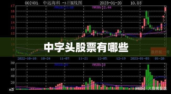 广州怎么查自己车限行