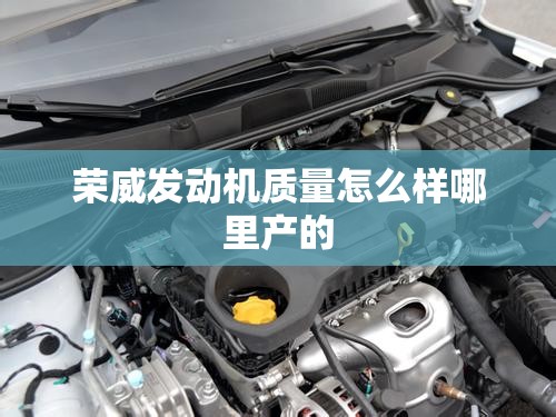 【荣威发动机质量怎么样哪里产的/荣威的发动机是什么品牌】
