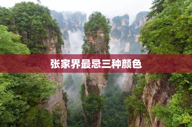 玩家辅助神器:“金宝联盟有挂吗”开挂辅助透视教程