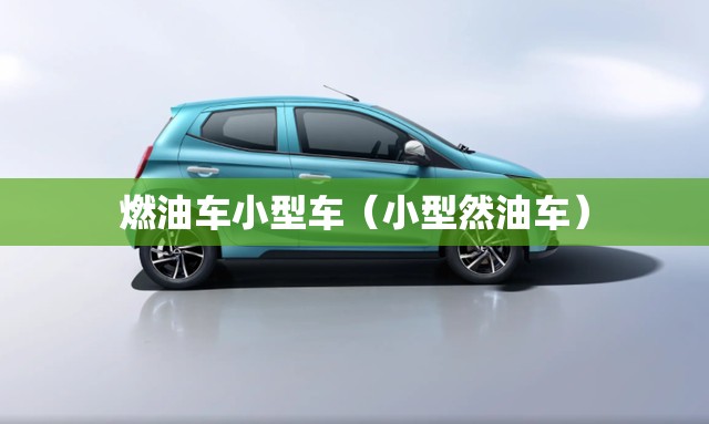 燃油车小型车（小型然油车）