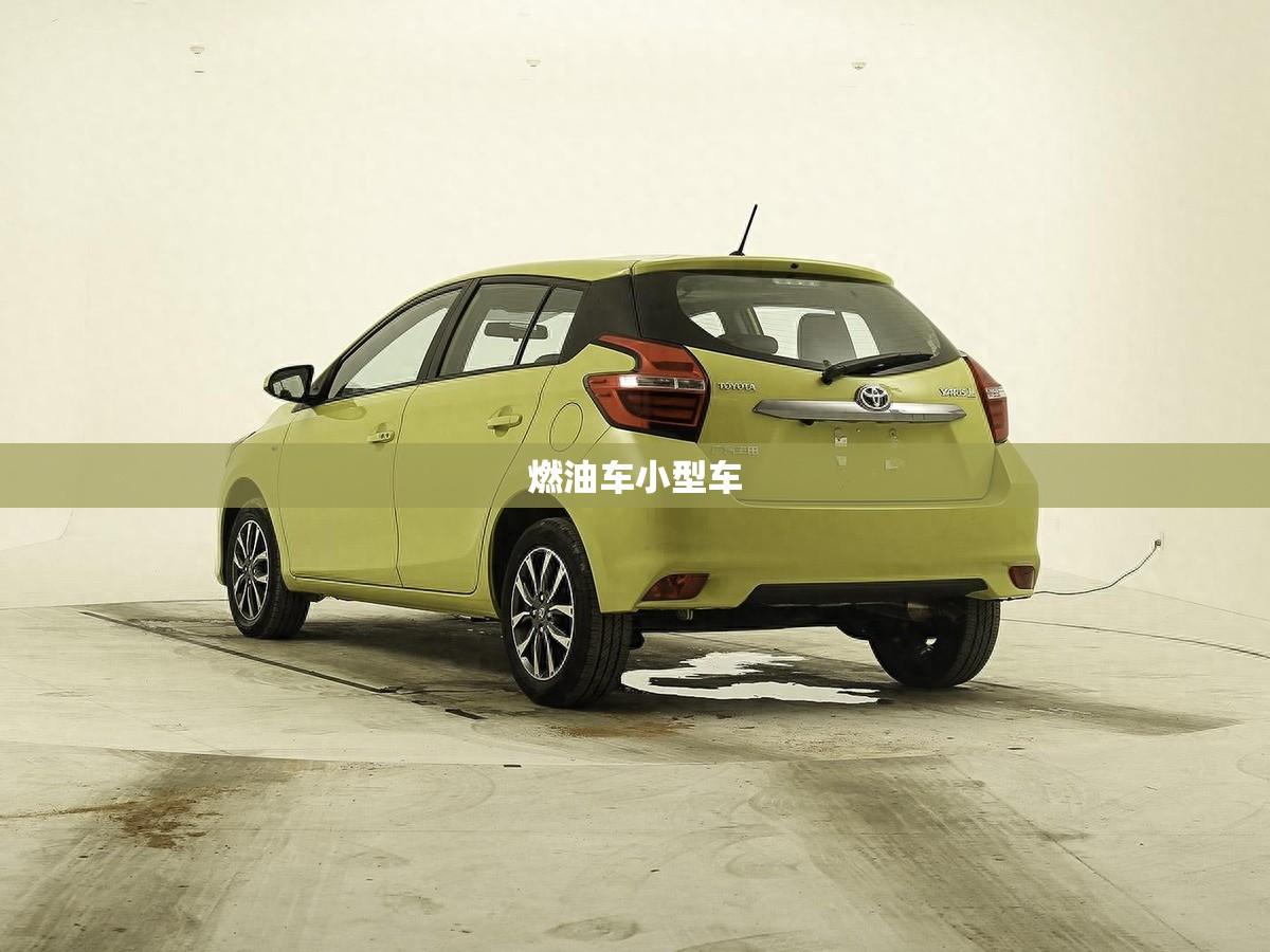 燃油车小型车（小型然油车）
