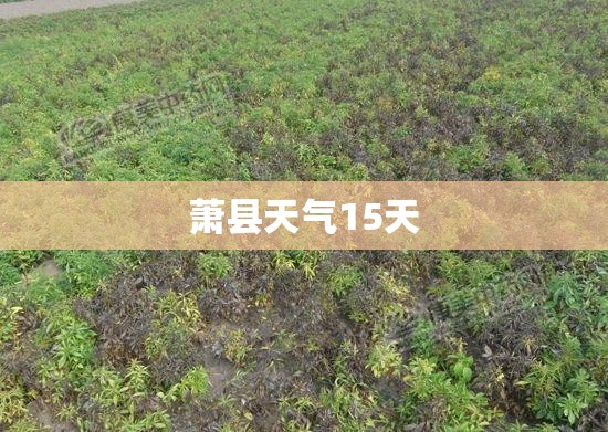 万能开挂辅助“八仙竞技馆辅助器”开挂辅助透视教程