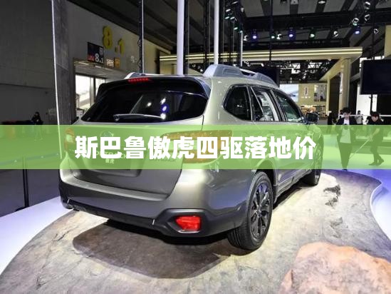 辅助教程分享“白金岛跑胡子辅助软件(辅助神器)开挂详细教程