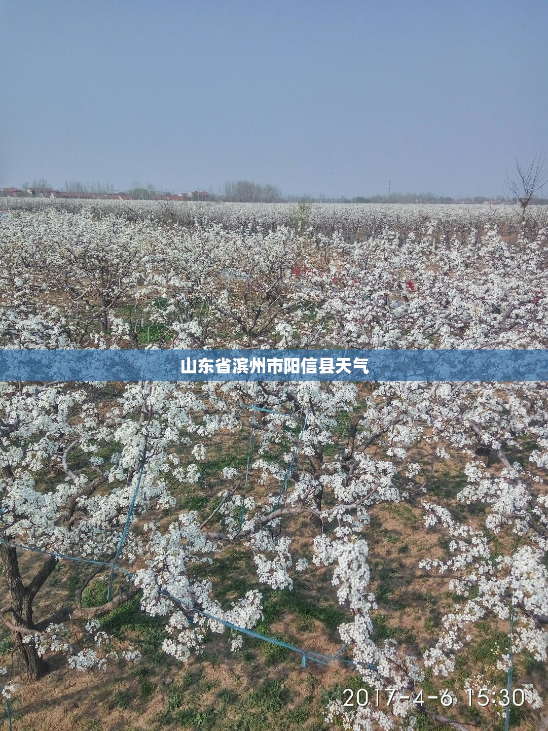 陕西咸阳天气预报30天（陕西咸阳天气预报一周天气）