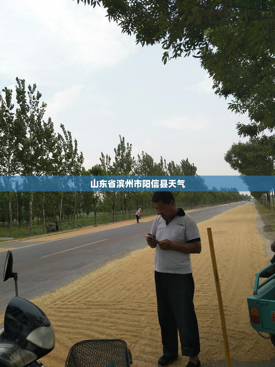 山东省滨州市阳信县天气/山东省滨州市阳信县天气24小时预报