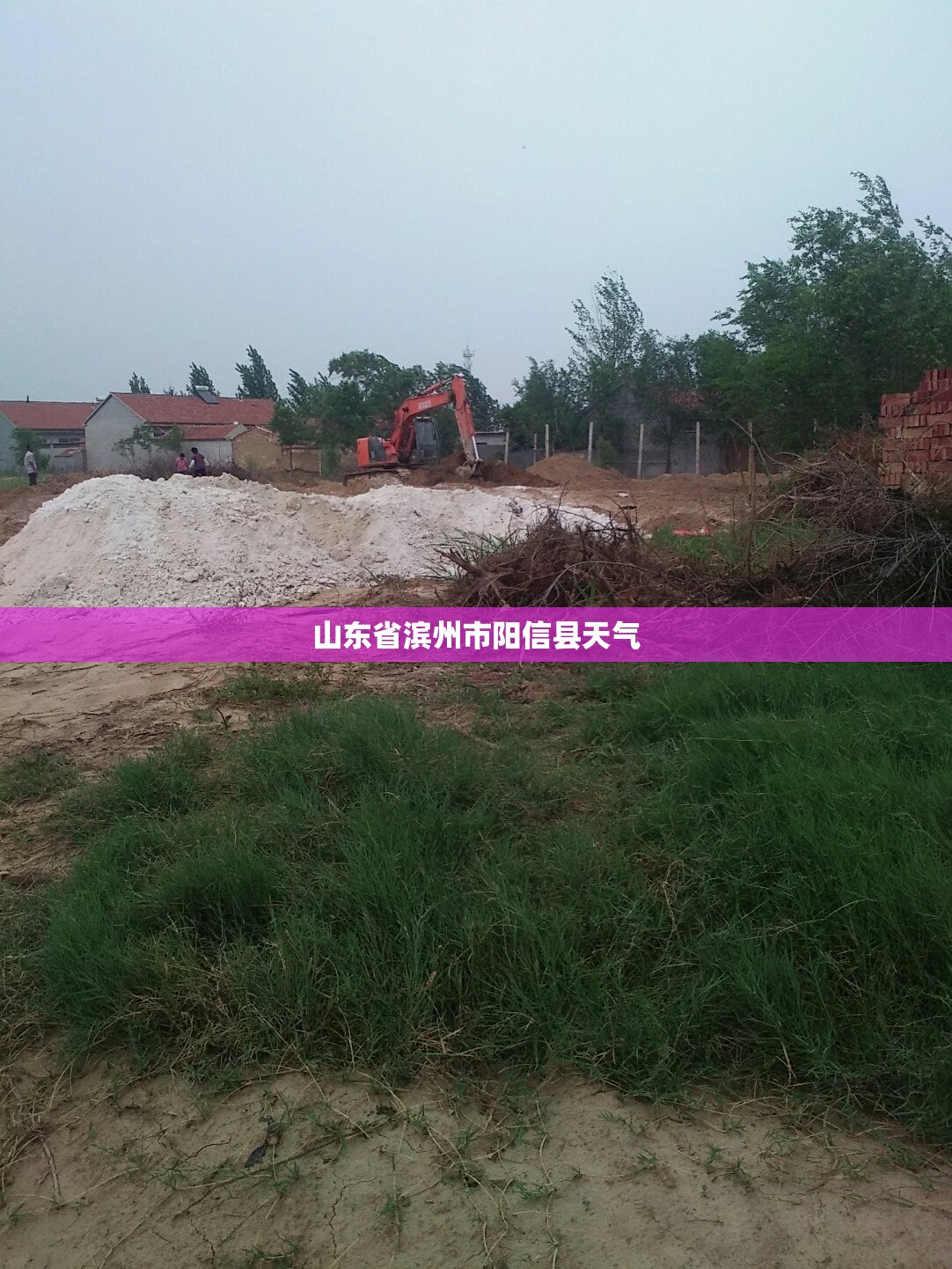 山东省滨州市阳信县天气/山东省滨州市阳信县天气24小时预报