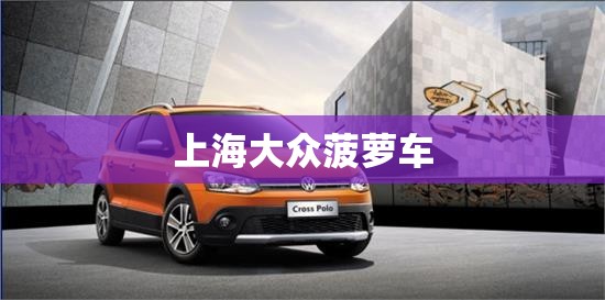 【上海大众菠萝车,上海大众菠萝车有几款】