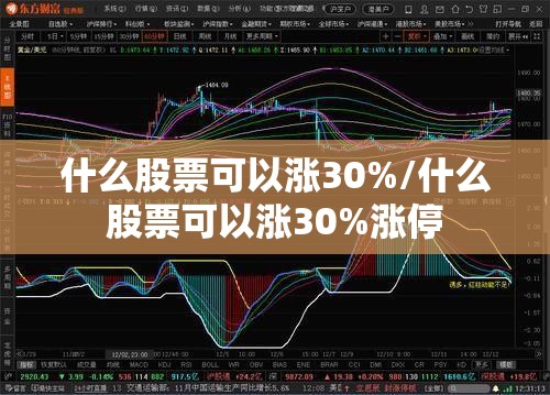 什么股票可以涨30%/什么股票可以涨30%涨停