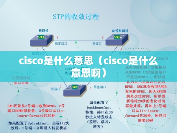 cisco是什么意思（cisco是什么意思啊）