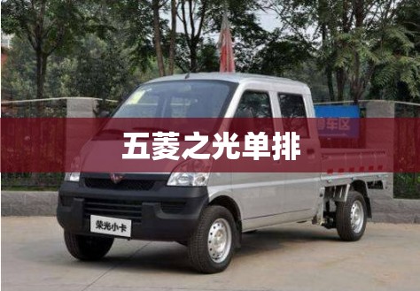 五菱之光单排,五菱之光单排小货车报价及图片