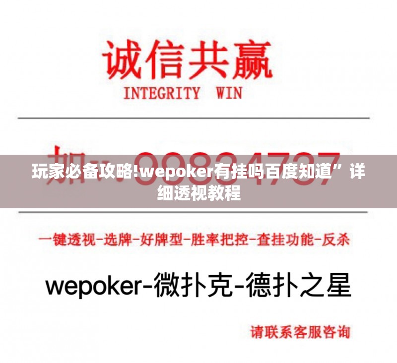 玩家必备攻略!wepoker有挂吗百度知道”详细透视教程
