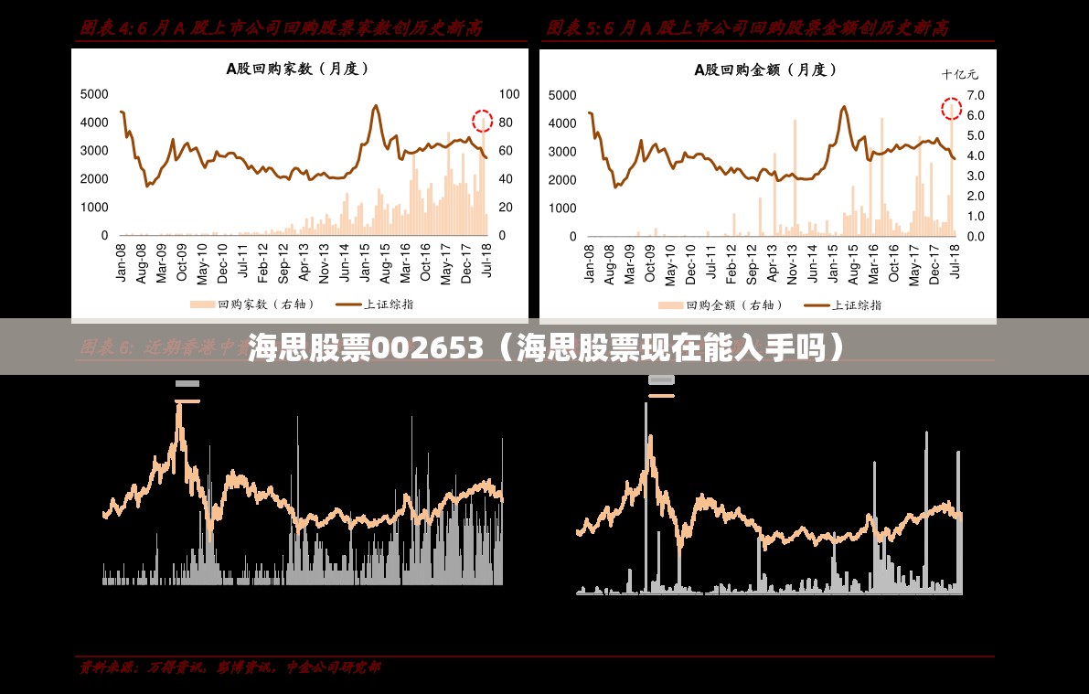 海思股票002653（海思股票现在能入手吗）