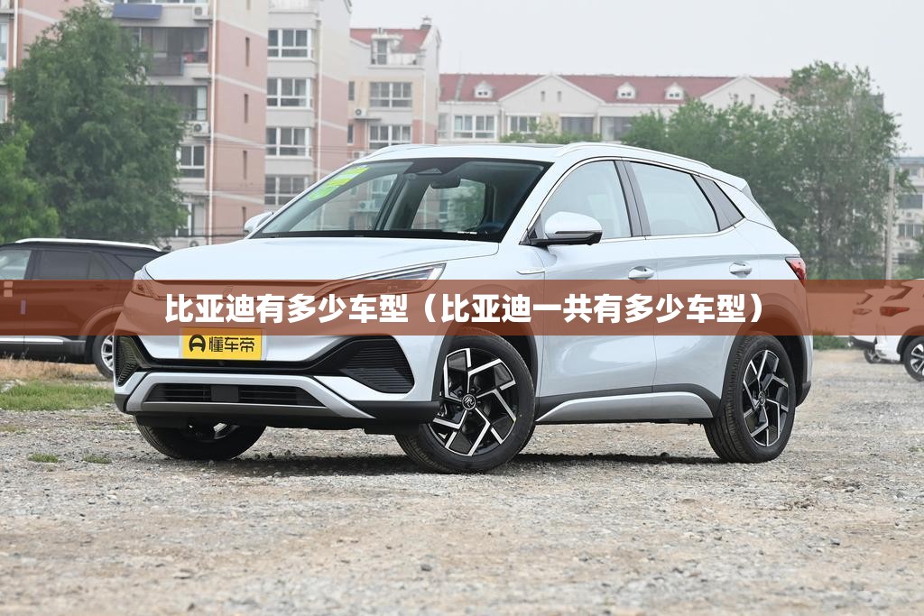 比亚迪有多少车型（比亚迪一共有多少车型）