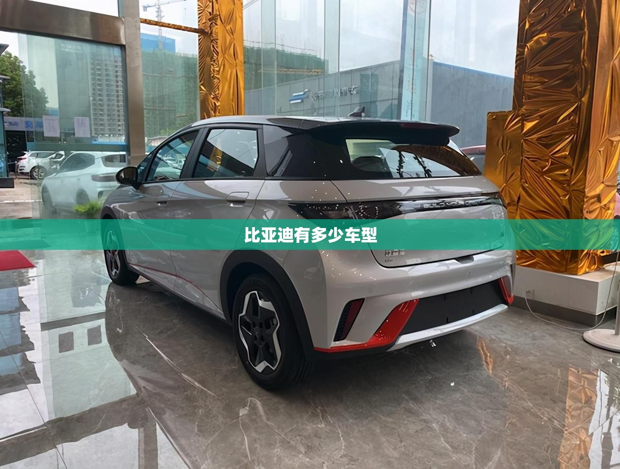 比亚迪有多少车型（比亚迪一共有多少车型）