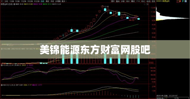 美锦能源东方财富网股吧 美锦能源东方财富网股吧