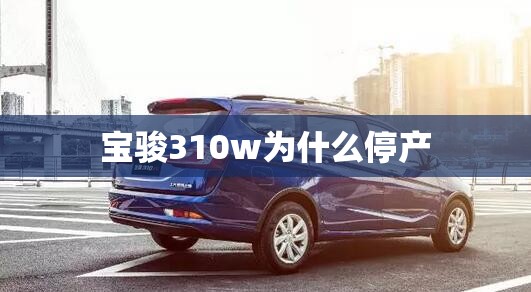 宝骏310w为什么停产