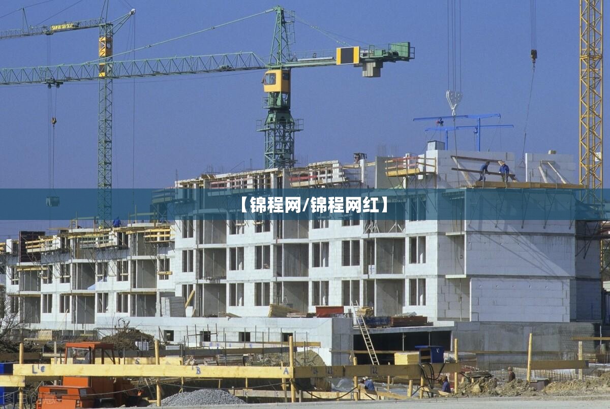 【锦程网/锦程网红】