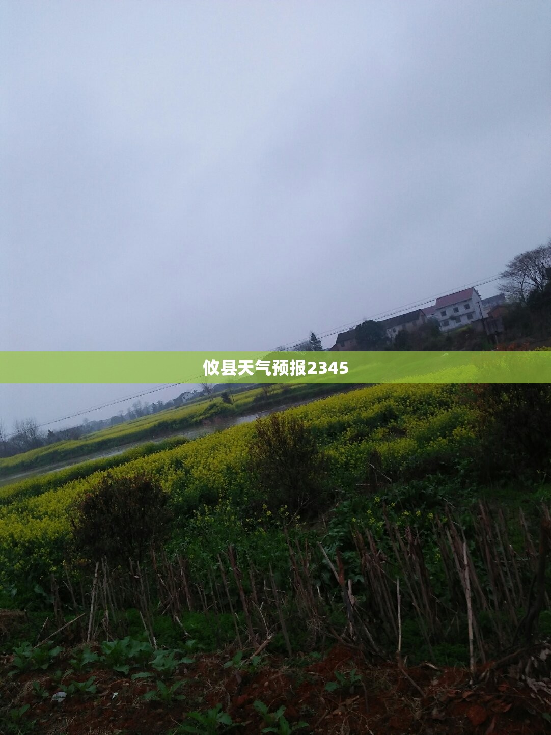 中国电建为什么跌那么厉害,中国电建为啥跌