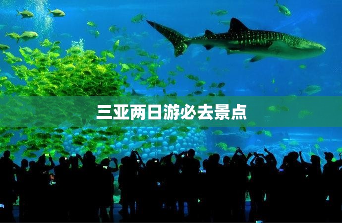 三亚两日游必去景点（三亚两日游必去景点推荐）