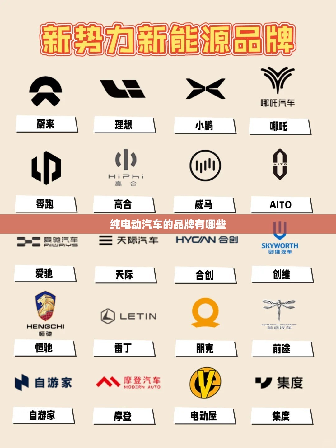纯电动汽车的品牌有哪些/纯电动汽车品牌排名榜
