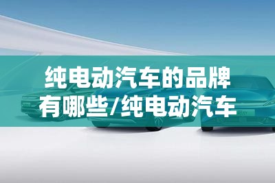 纯电动汽车的品牌有哪些/纯电动汽车品牌排名榜