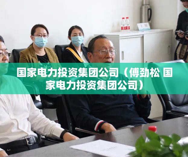 国家电力投资集团公司（傅劲松 国家电力投资集团公司）
