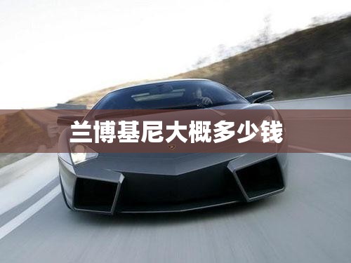 兰博基尼大概多少钱 兰博基尼大概多少钱