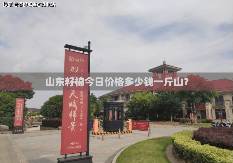 2024款哈佛H9汽油版和2024款GM8汽油版宗师系列选购哪个？_1