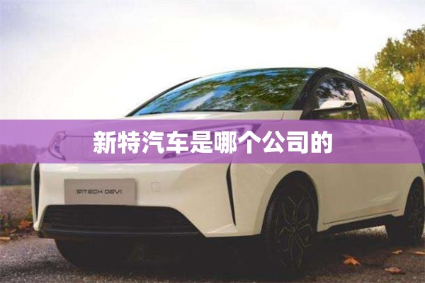 新特汽车是哪个公司的（新特汽车是哪里生产的）