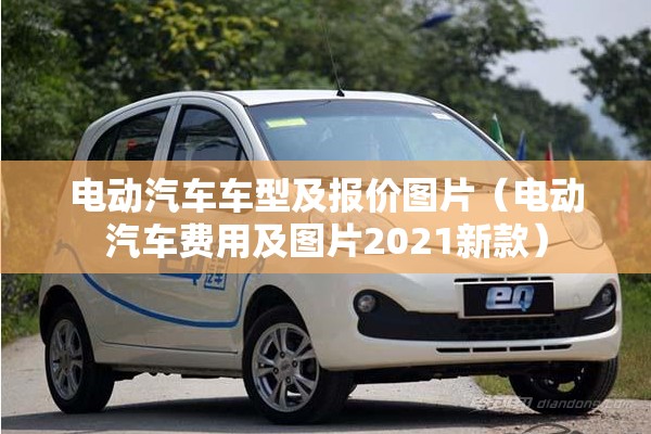 电动汽车车型及报价图片（电动汽车费用及图片2021新款）