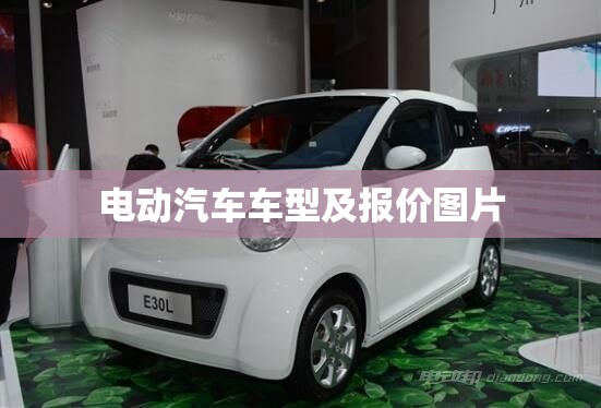 电动汽车车型及报价图片（电动汽车费用及图片2021新款）