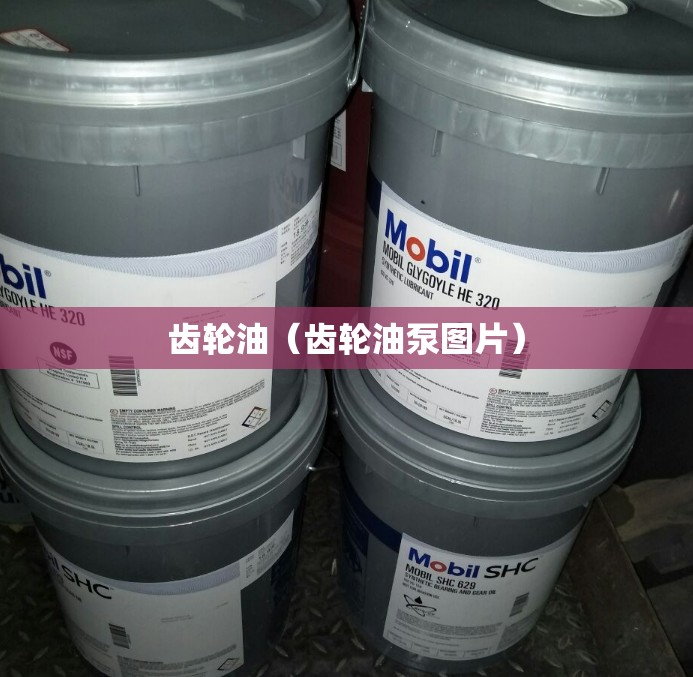 齿轮油（齿轮油泵图片）