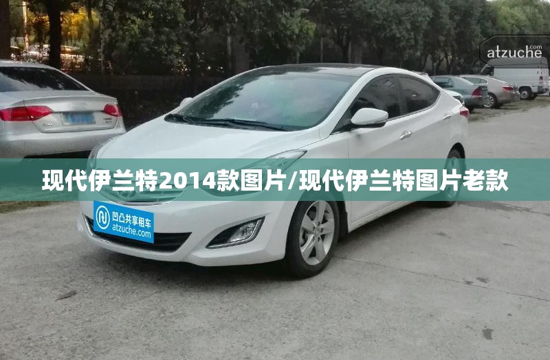 现代伊兰特2014款图片/现代伊兰特图片老款