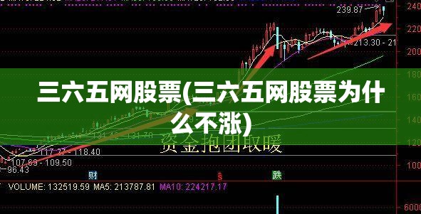 三六五网股票(三六五网股票为什么不涨)